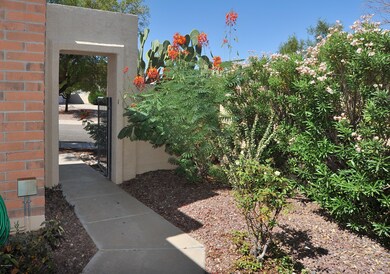 9970 N Doheny Place, Tucson, AZ 85737 - photo 6