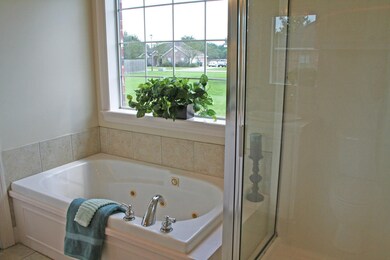 master bath and shower