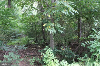 2 Center Trail, Fairfield, PA 17320 - photo 2