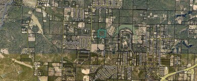 Property Appraiser Website Screenshot