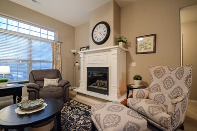 Gas Fireplace