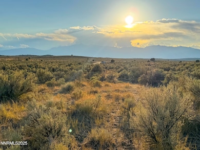 330 Veris Ct unit 1, Gardnerville, NV 89410 - photo 5