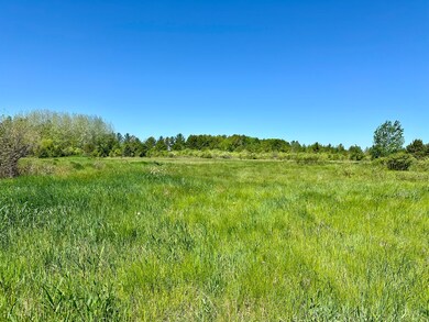 0 N Straits Hwy unit 201829643, Cheboygan, MI 49721 - photo 3