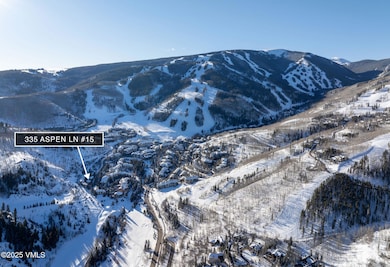 2502_335_aspen_ln_15_aerial_d