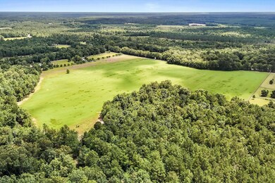 Lot 2 Mt Beulah Rd, Windsor, SC 29856 - photo 6