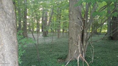 Lot B 2