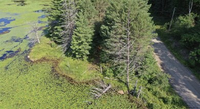 77 Austin Pond Rd, Johnsburg, NY 12853 - photo 6