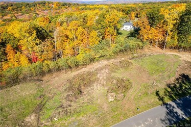 48 Weatherstone, Avon, CT 06001 - photo 6