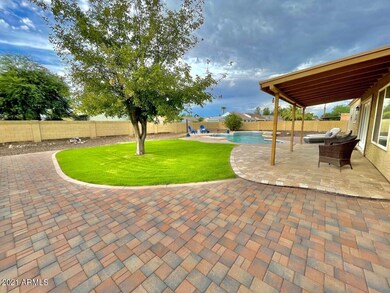 backyard3