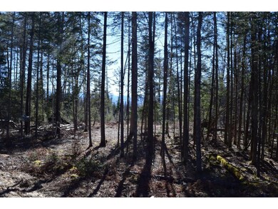 0 Bailey Rd, Jefferson, NH 03583 - photo 5