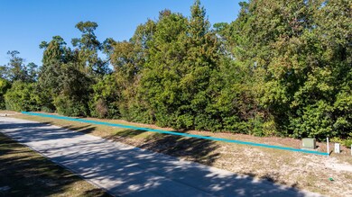 75 Mediterra Way, the Woodlands, TX 77389 - photo 5