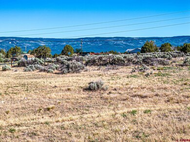 TBD Cedar Mesa, Cedaredge, CO 81413 - photo 6
