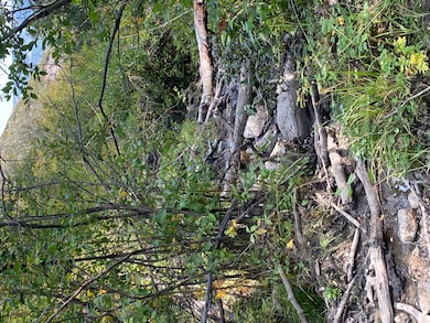 NHN Arlie Tracts, Other, See Remarks, MT 59411 - photo 4