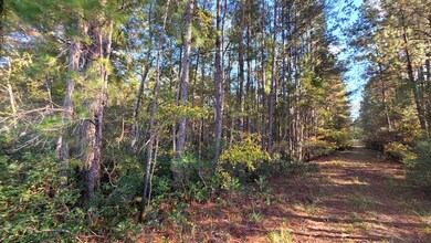 0 Deerwood & Brentwood unit 139029, Fitzgerald, GA 31750 - photo 6