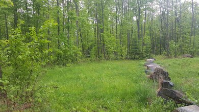 783 Dexter Mountain Rd unit 3A, Glover, VT 05839 - photo 3