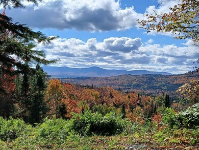 Lot 4 Holden Hill Rd, Stewartstown, NH 03576 - photo 4