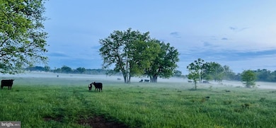 No Address Assigned. Cather Rd, Berryville, VA 22611 - photo 5