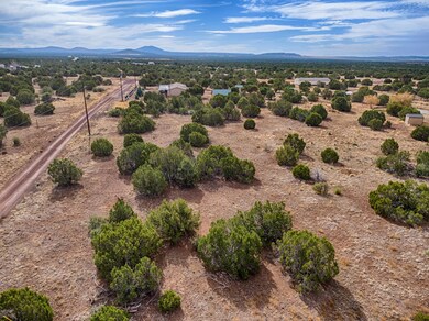 1280 Geronimo Dr, Show Low, AZ 85901 - photo 6