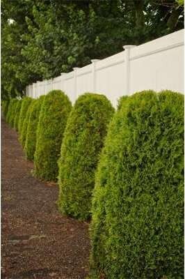 919 Bay St unit 45, Fall River, MA 02724 - photo 7