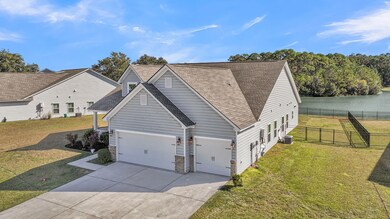 CREM - 3524 Great Egret + Aerials-1 (2)
