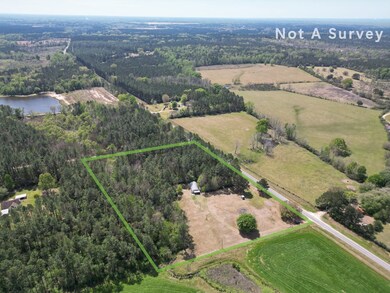 1116 Hilt Fornea Rd, Poplarville, MS 39470 - photo 3