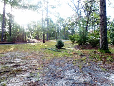 View of Front yard