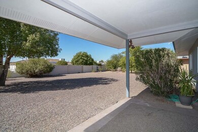 Patio-Backyard