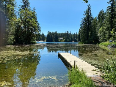 18528 Surcingle Ct SE, Yelm, WA 98597 - photo 4