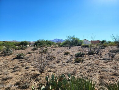 2960 E Kreisler Place unit 27, Vail, AZ 85641 - photo 2