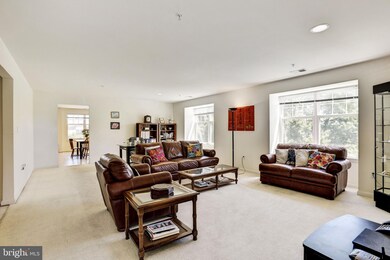 4700 Coyle Rd unit 305, Owings Mills, MD 21117 - photo 4