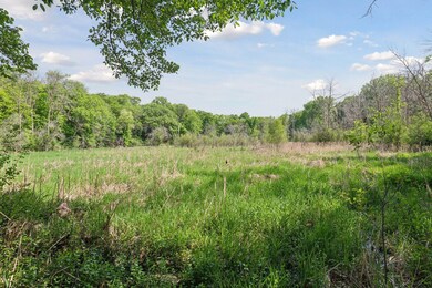 4735 Spring Creek Dr, Excelsior, MN 55331 - photo 4