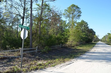 000 Sea Grass Dr unit 1, Keaton Beach, FL 32348 - photo 3