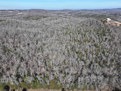 000 Hwy 160, Gainesville, MO 65655 - photo 2