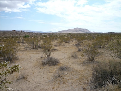 2345 Sunny Sands Dr, Joshua Tree, CA 92252 - photo 3