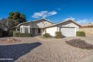 969 Ivydale Dr, Las Cruces, NM 88005 - photo 2