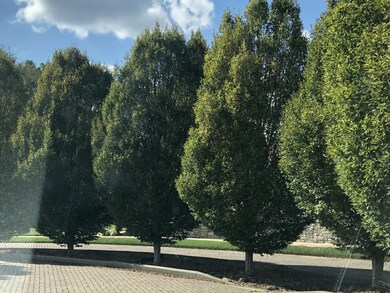 705 Halcyon Way, Columbia, TN 38401 - photo 7