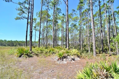 00 Key Deer unit LotWP001, Perry, FL 32348 - photo 7