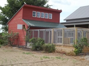 Deluxe Chicken house