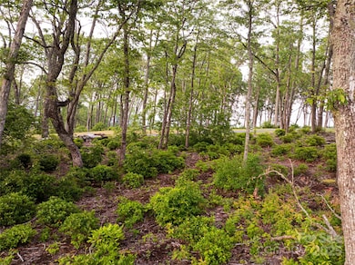 000 E Garden Trail unit 47, Fletcher, NC 28732 - photo 7