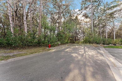 13824 Flay Ave N, Hugo, MN 55038 - photo 4