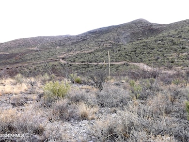 Lot 2 W Red Mountain Rd unit 2, Bisbee, AZ 85603 - photo 7