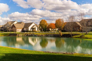 Lake Views