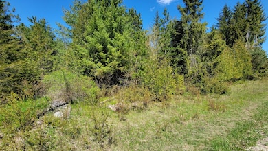 0 State Trunk Highway 42, Ellison Bay, WI 54210 - photo 3