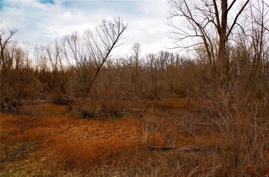 0 Pike 202 unit MAR24078791, Annada, MO 63330 - photo 3