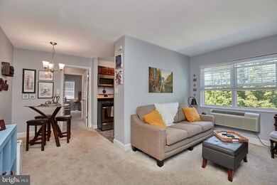 2237 Farrington Ave unit 304, Alexandria, VA 22303 - photo 6