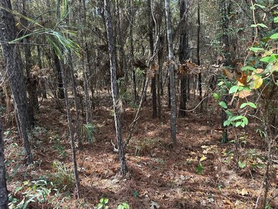 Ebenezer Tap Rd, Trout, LA 71371 - photo 6