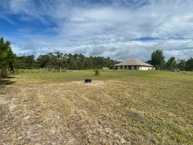 621 Ranchette Rd, New Smyrna Beach, FL 32168 - photo 4