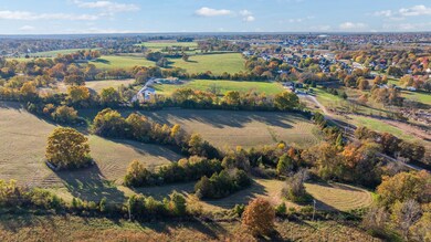 000 Old Riverdale Rd, Nixa, MO 65714 - photo 4
