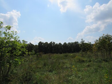 IMG_1552
