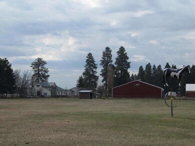 Elletson_390 Hodgson 019